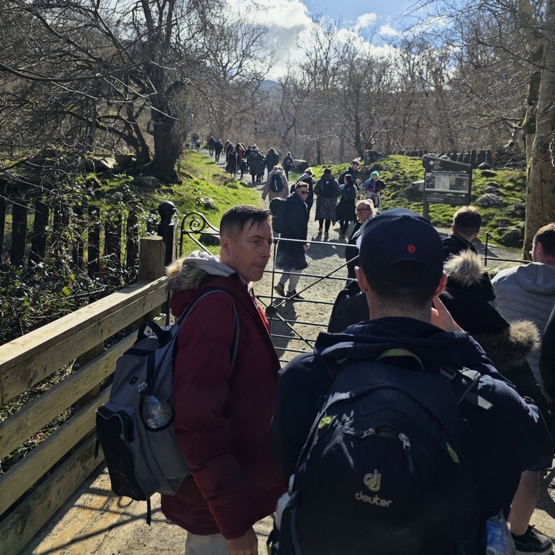 Walkers making their way up a woodland path together on a bright, cold morning.